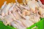 ۵۰۰۰ تن گوشت سفید از شهرستان کوهدشت صادر شد