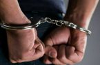 ۲۵ متهم جرایم مختلف در کوهدشت دستگیر شدند