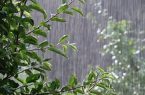 جزئیات بارش‌ها در لرستان/ ثبت بیشترین بارندگی‌ها در کوهدشت